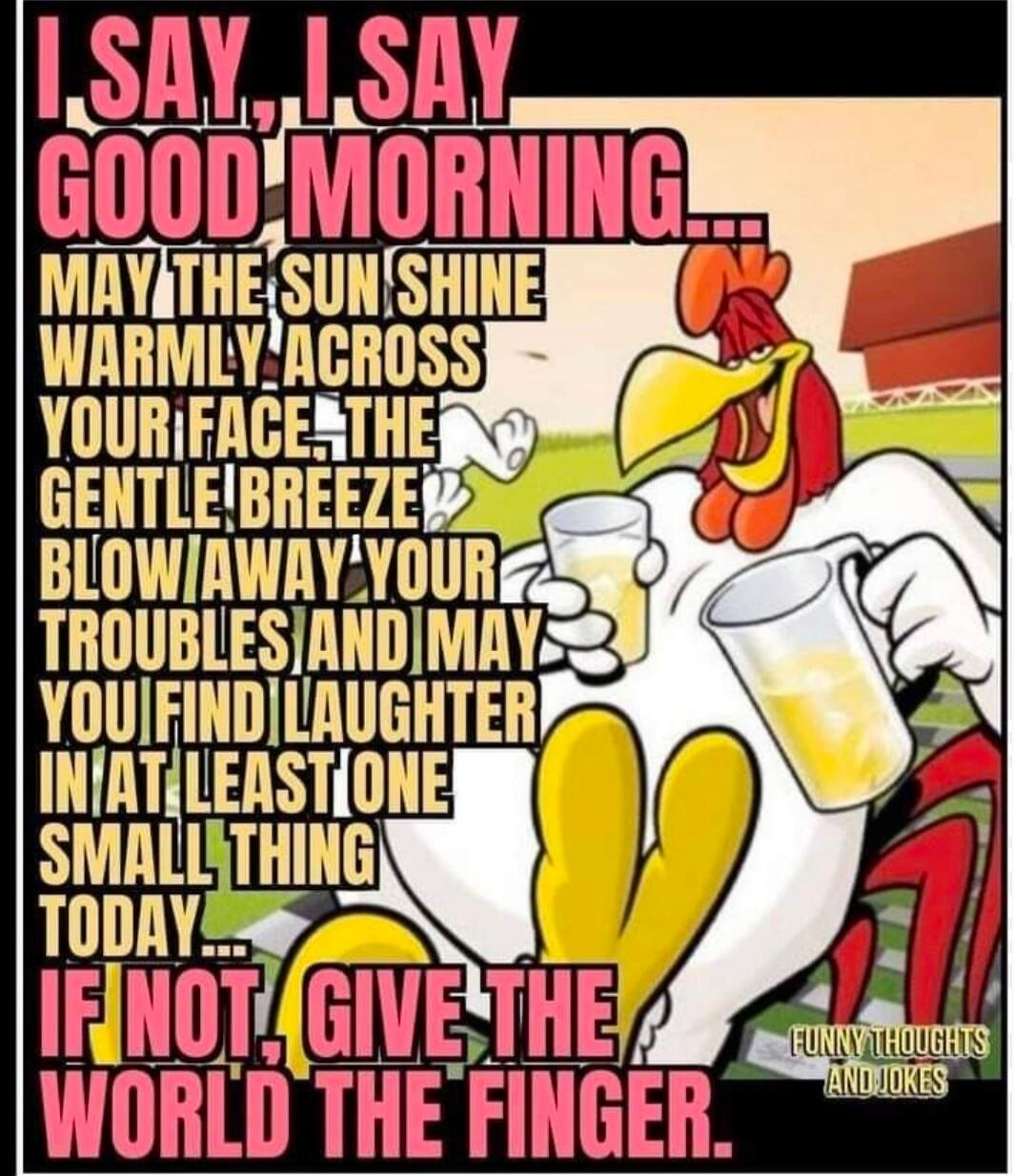 I SAY, I SAY GOOD MORNING... MAY THE SUN SHINE WARMLY ACROSS YOUR FACE, THE GENTLE BREEZE BLOW AWAY YOUR TROUBLES AND MAY YOU FIND LAUGHTER IN AT LEAST ONE SMALL THING TODAY... IF NOT, GIVE THE WORLD THE FINGER. FUNNY THOUGHTS AND JOKES