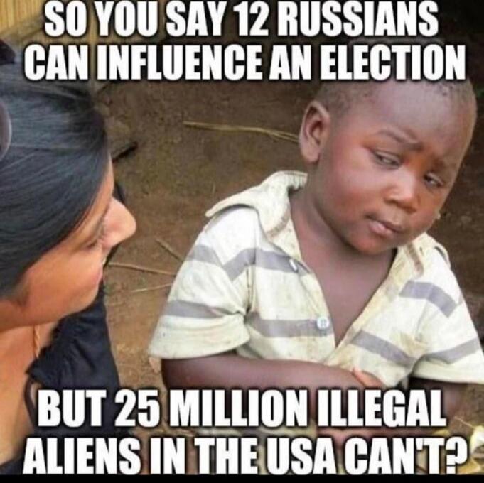 SO YOU SAY 12 RUSSIANS CAN INFLUENCE AN ELECTION BUT 25 MILLION ILLEGAL ALIENS IN THE USA CAN'T?