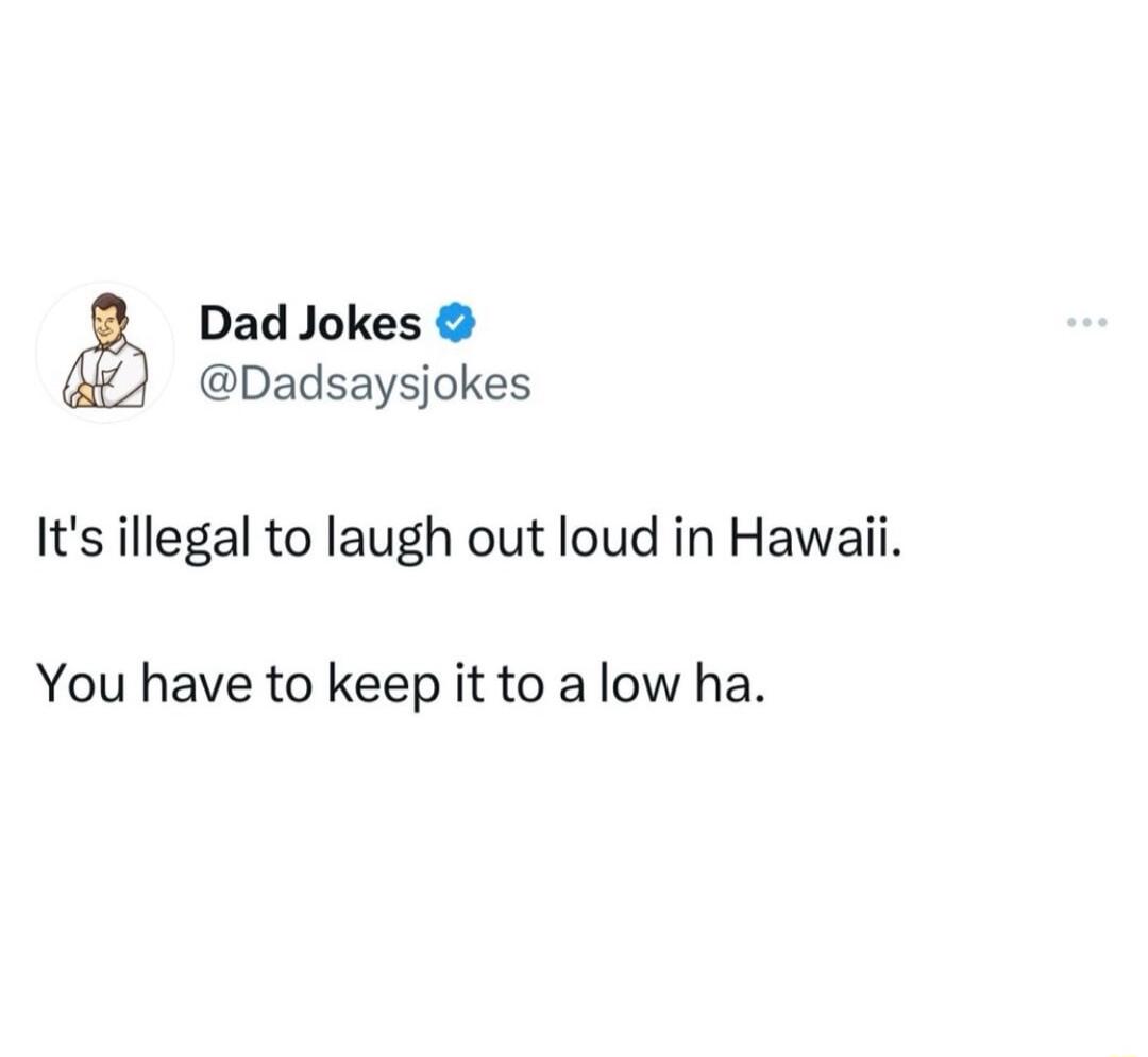 Dad Jokes Dadsaysjokes Its illegal to laugh out loud in Hawaii You have to keep it to a low ha