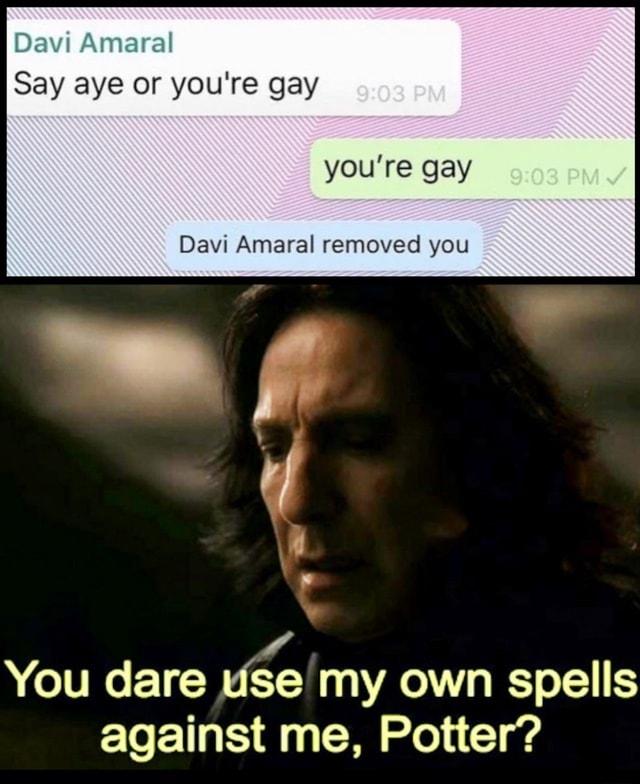 Say aye or youre gay youre gay Davi Amaral removed you You dare yse my own spells against me Potter