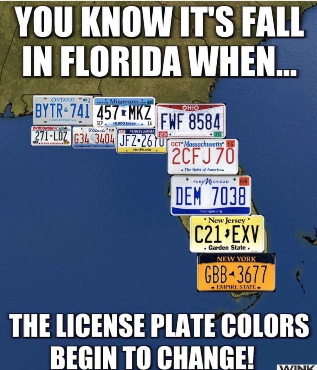 YOU KNOWITS FALL IN FlIIBIIIA WIIEN THE LICENSE PLATE COLORS 0 R
