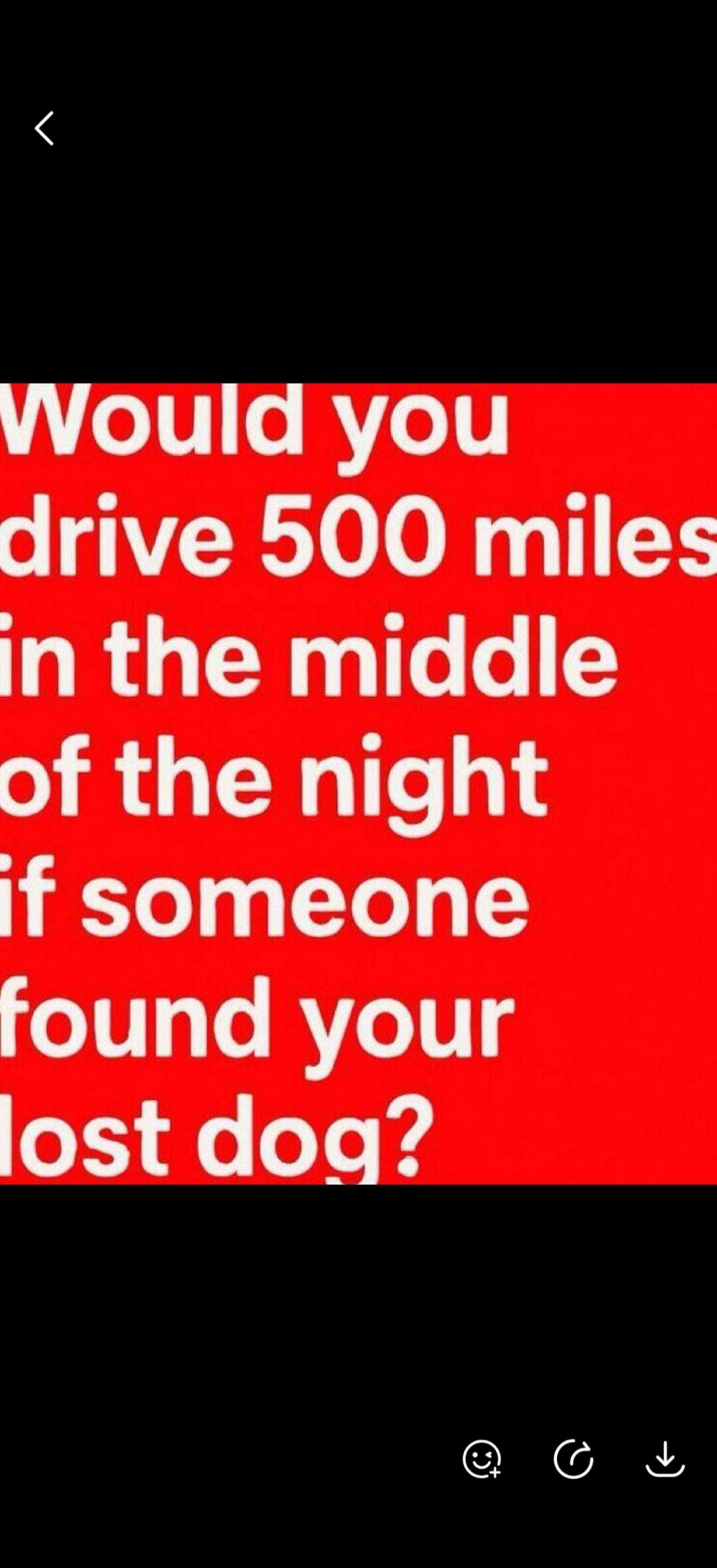 Would you drive 500 miles in the middle of the night if someone found your lost dog?