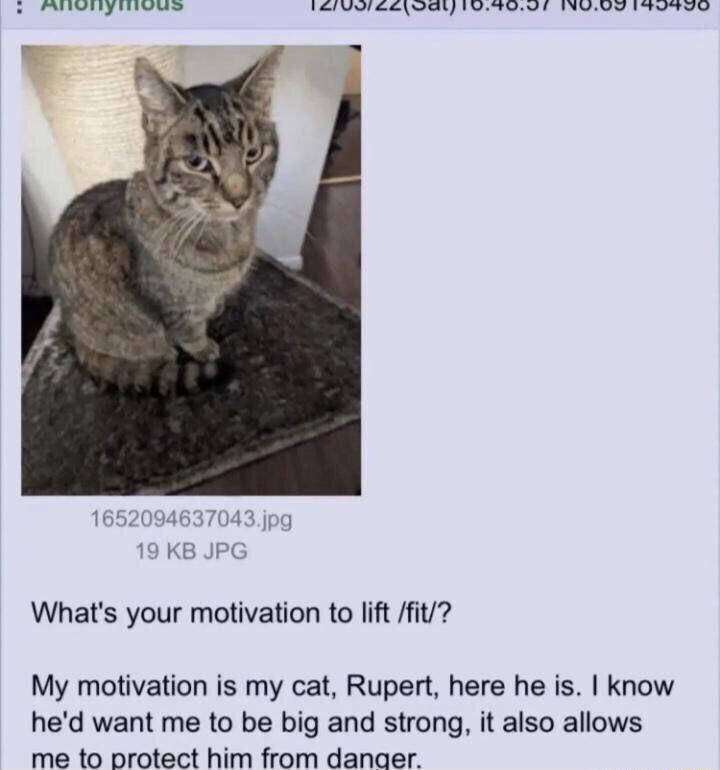 BTN PARpE N T N TR LI S LR S R 2 KB JPC Whats your motivation to lift fit My motivation is my cat Rupert here he is know hed want me to be big and strong it also allows me to protect him from danaer