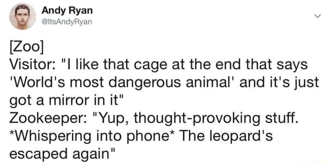 Andy Ryan Zoo Visitor l like that cage at the end that says Worlds most dangerous animal and its just got a mirror in it Zookeeper Yup thought provoking stuff Whispering into phone The leopards escaped again