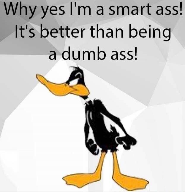 Why yes I'm a smart ass! It's better than being a dumb ass!