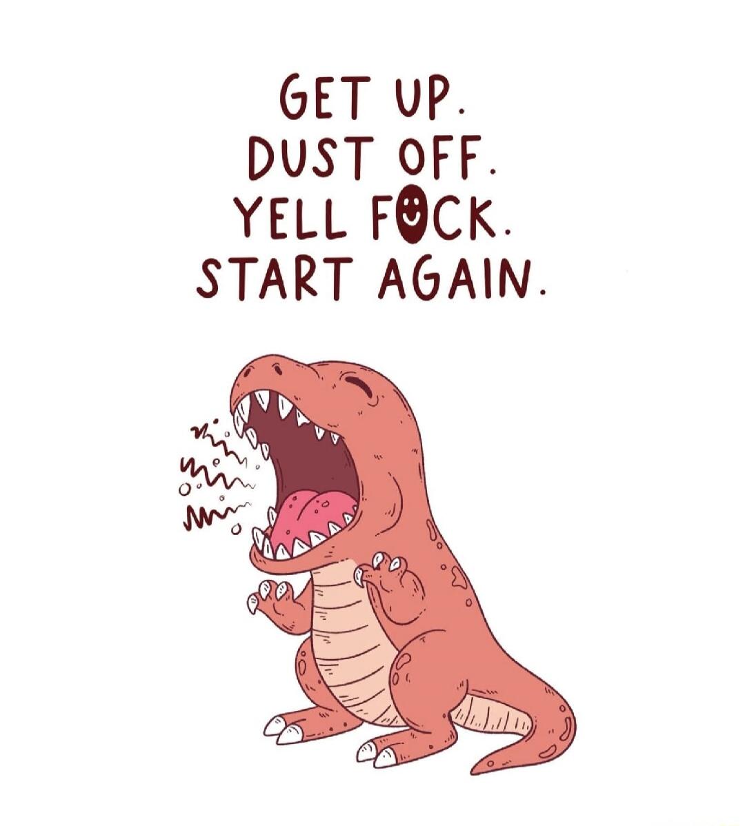 GET UP. DUST OFF. YELL F*CK. START AGAIN.