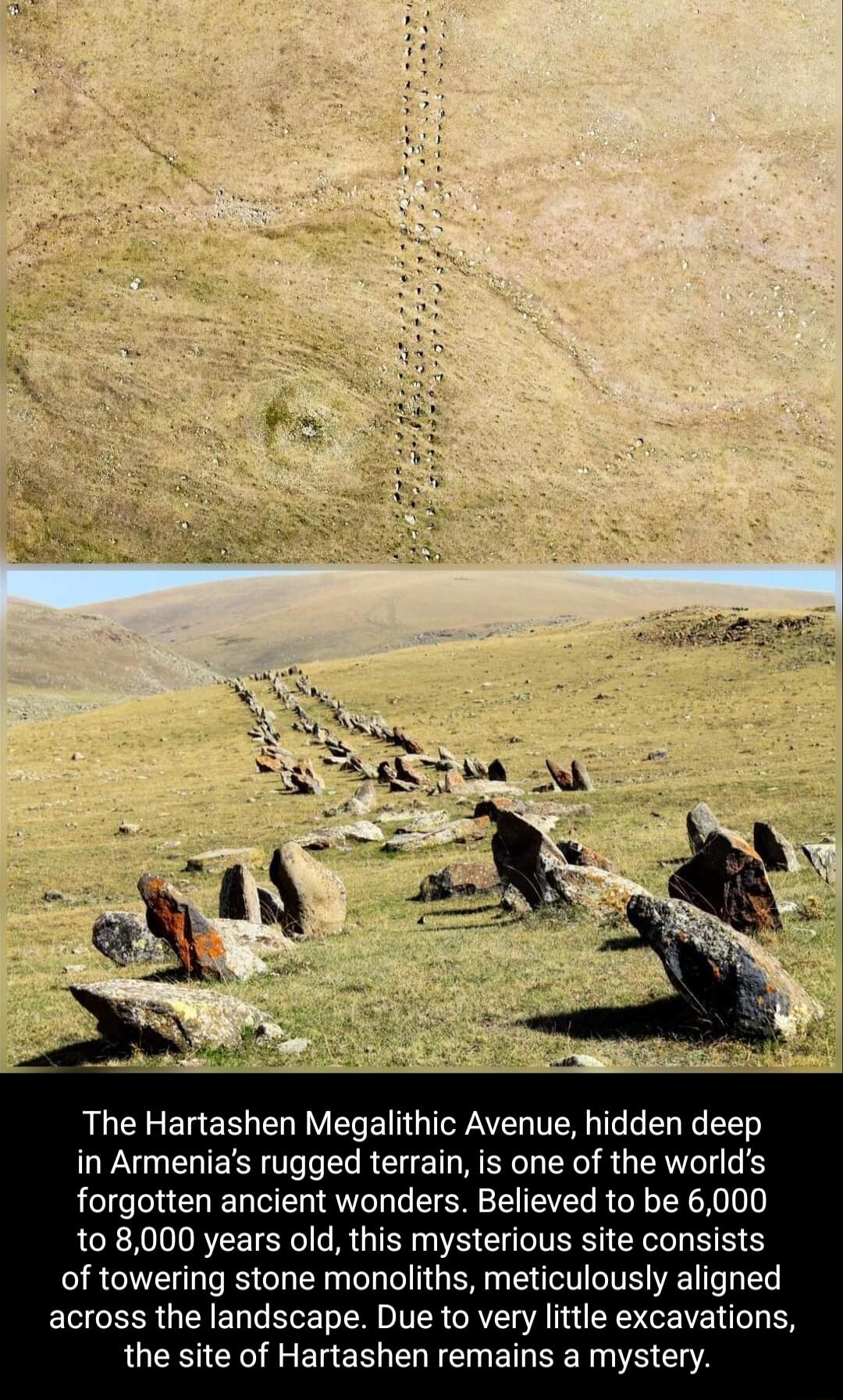 The Hartashen Megalithic Avenue hidden deep in Armenias rugged terrain is one of the worlds forgotten ancient wonders Believed to be 6000 10 8000 years old this mysterious site consists of towering stone monoliths meticulously aligned across the landscape Due to very little excavations the site of Hartashen remains a mystery
