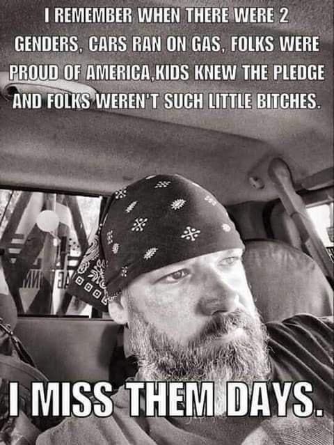 1 REMEMBER WHENTHEREWERE 2 GENDERS CARS RAN ON GAS FOLKS WERE PHUTHMEHIE KIDS KNEW THE PLEDGE ANDFOLKS WERENTS SUGHILITTlE BITG 145