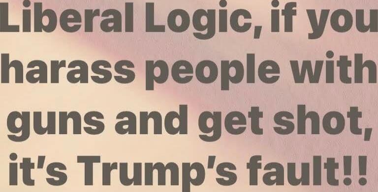 Liberal Logic, if you harass people with guns and get shot, it's Trump's fault!!