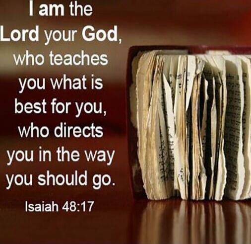 I am the Lord your God, who teaches you what is best for you, who directs you in the way you should go. Isaiah 48:17