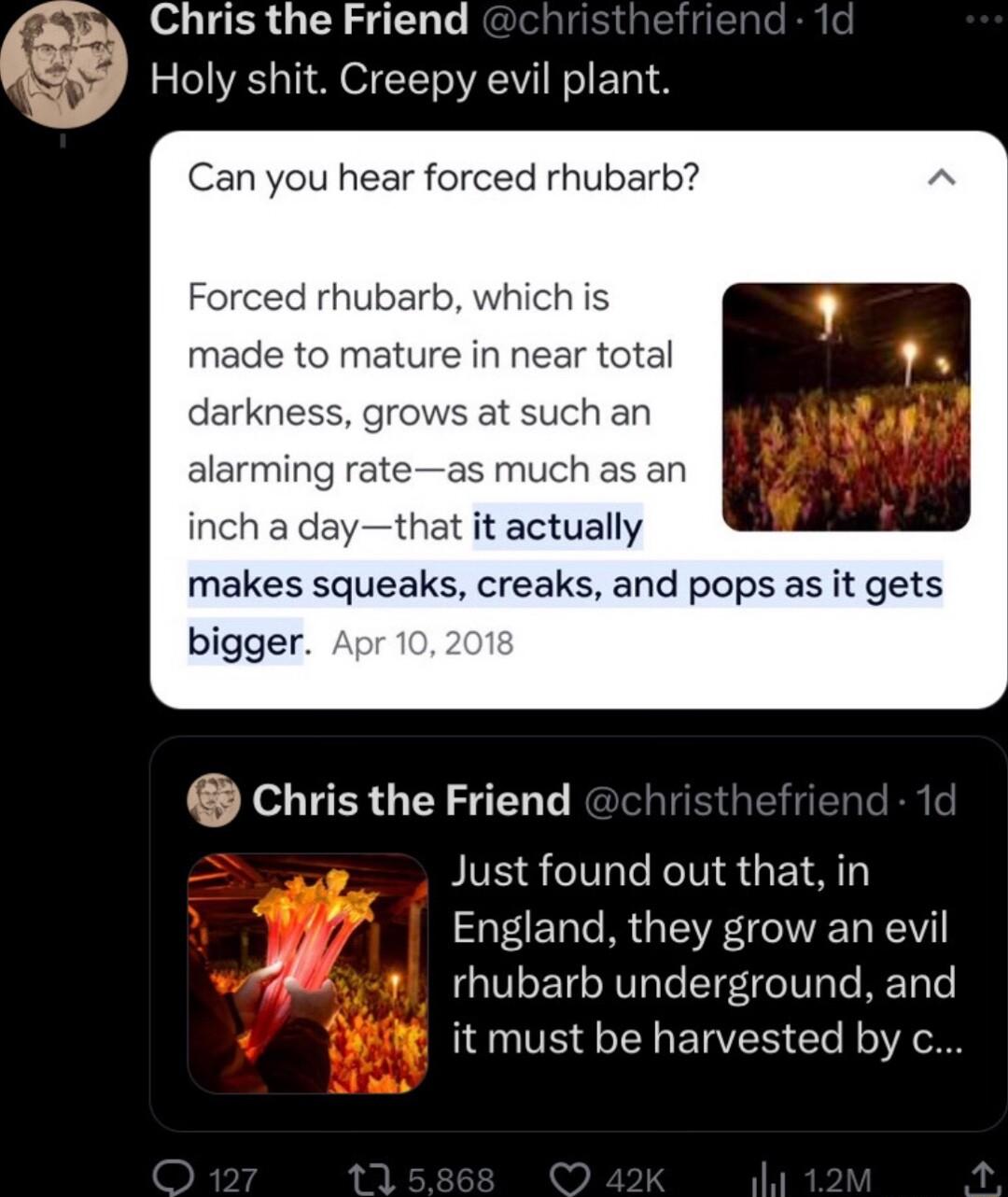 f Chris the Friend W Holy shit Creepy evil plant in you hear forced rhubarb made to mature in near total ns at such an h a daythat it actually makes squeaks creaks and pops as it gets bigger chris the Friend Just found out that in ZTEL R GE IR YV LIV LT IVI e TEe Vs Te Ty ENTE R ERTER Cle o W