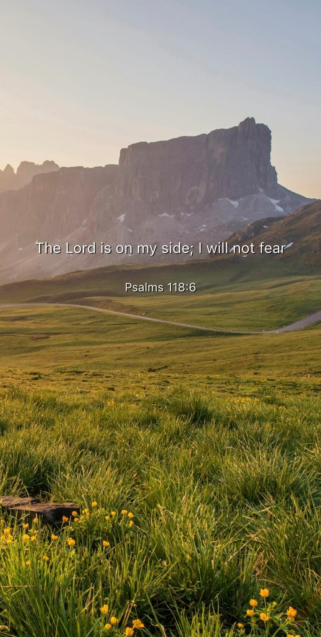 The Lord is on my side; I will not fear
Psalms 118:6