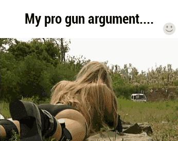 My pro gun argument