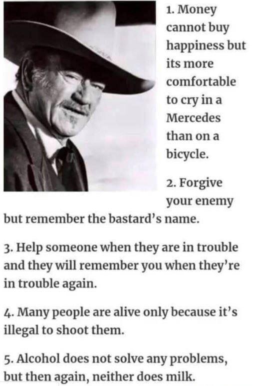 1 Money cannot buy happiness but its more comfortable tocryina Mercedes thanona bicycle 2 Forgive your enemy but remember the bastards name 3 Help someone when they are in trouble and they will remember you when theyre in trouble again 4 Many people are alive only because its illegal to shoot them 5 Alcohol does not solve any problems but then again neither does milk