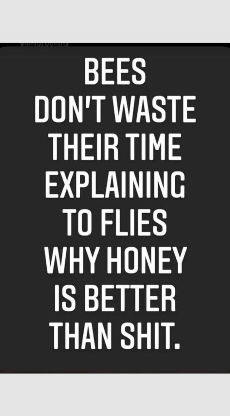 BEES DON'T WASTE THEIR TIME EXPLAINING TO FLIES WHY HONEY IS BETTER THAN SHIT.