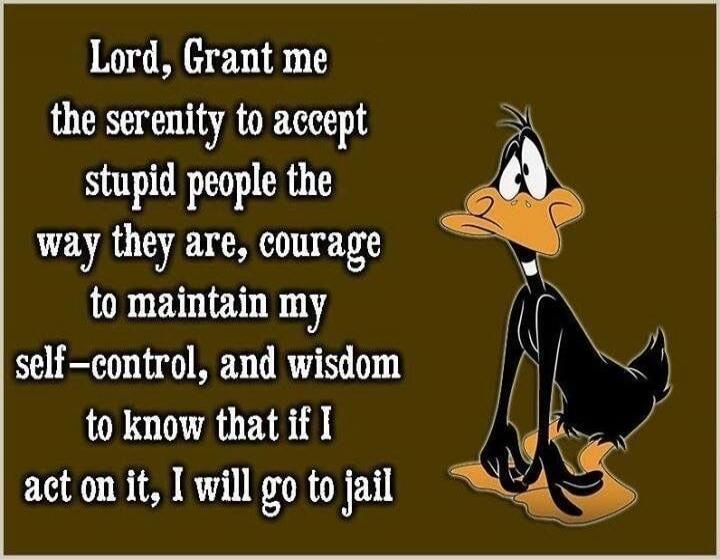 Lord, Grant me the serenity to accept stupid people the way they are, courage to maintain my self-control, and wisdom to know that if I act on it, I will go to jail