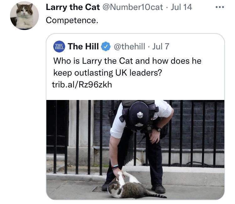 Larry the Cat Number1Ocat Jul 14 Competence The Hill thehill Jul 7 Who is Larry the Cat and how does he keep outlasting UK leaders tribalRz962zkh