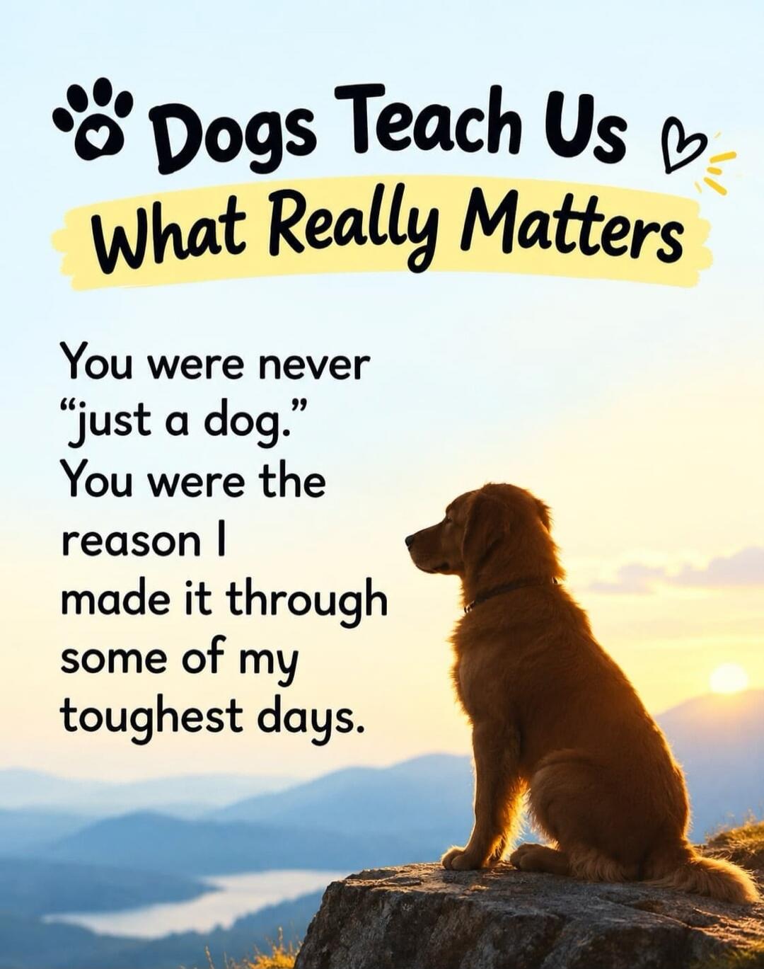 Dogs Teach Us What Really Matters. You were never 