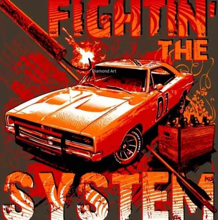 FIGHT'N THE SYSTEM