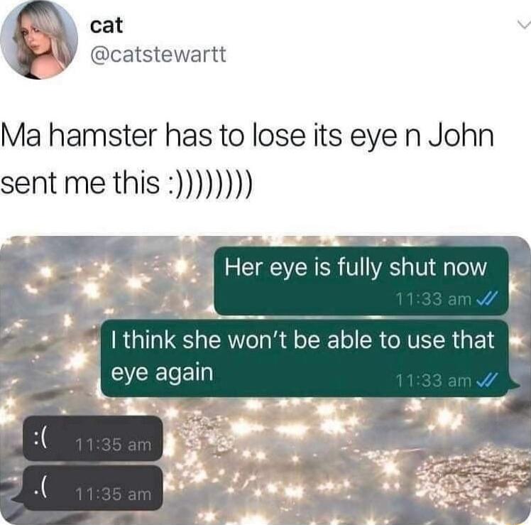 cat V catstewartt Ma hamster has to lose its eye n John sent me this Her eye is fully shut now I think she wont be able to use that SCELED