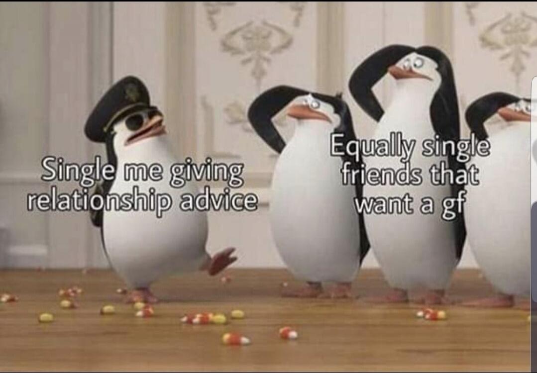 Single me giving relationship advice Equally single friends that want a gf