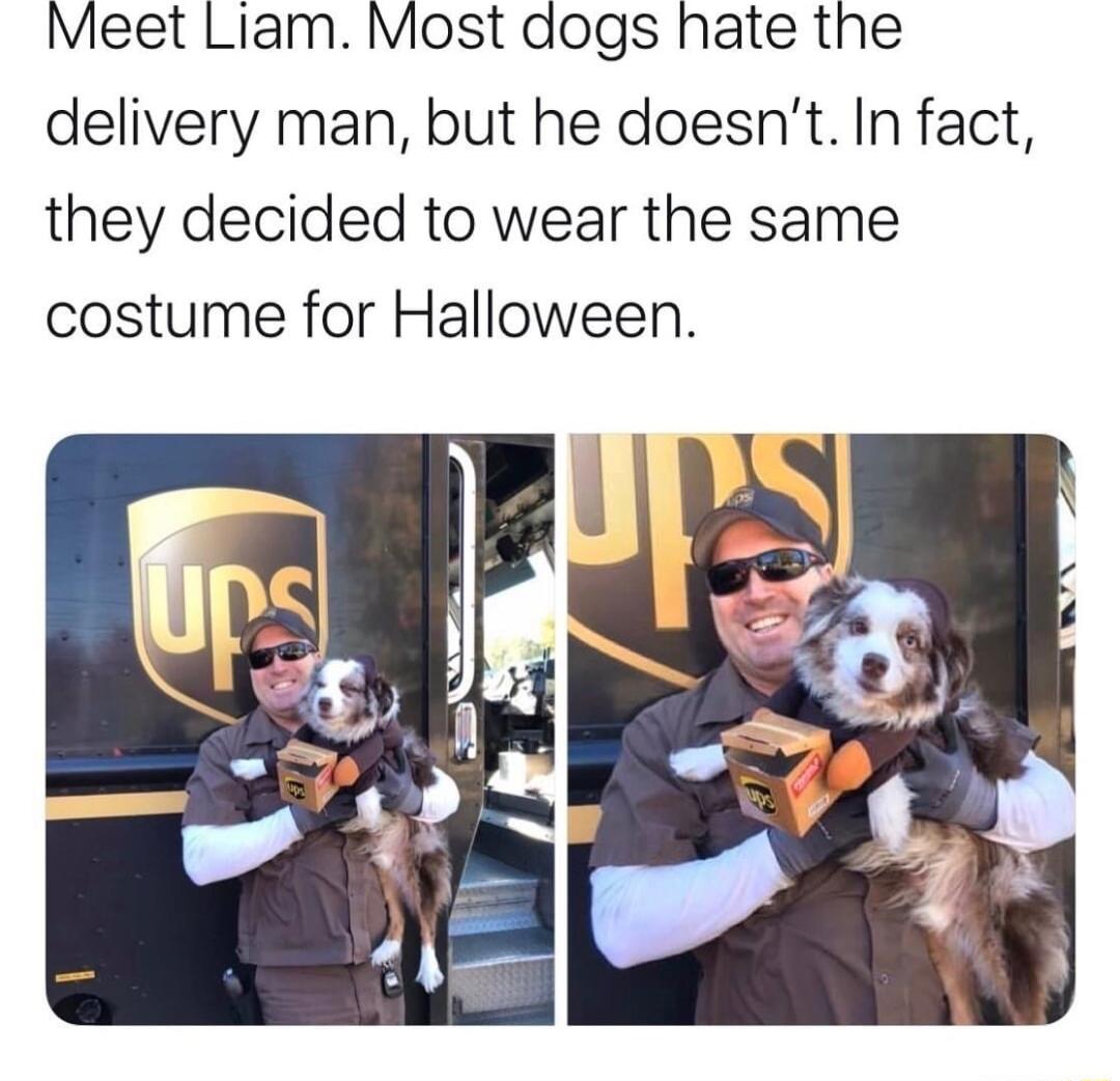 Meet Liam Most dogs hate the delivery man but he doesnt In fact they decided to wear the same costume for Halloween