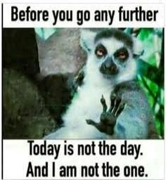 Before you go any further Today is not the day. And I am not the one.