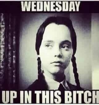 WEDNESDAY UP IN THIS BITCH