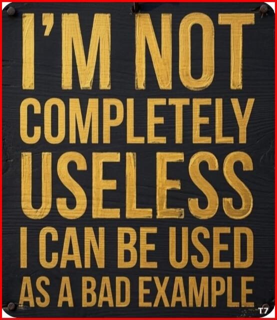 I'M NOT COMPLETELY USELESS I CAN BE USED AS A BAD EXAMPLE