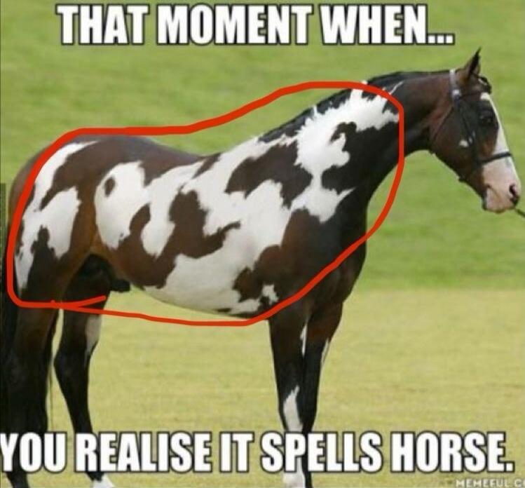 THAT MOMENT WHEN...
YOU REALISE IT SPELLS HORSE.