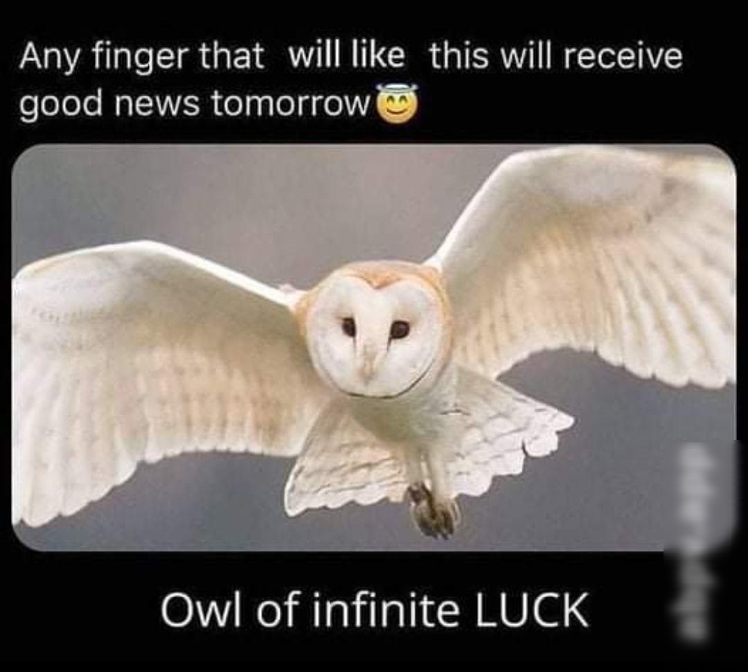 Any finger that will like this will receive good news tomorrow Owl of infinite LUCK