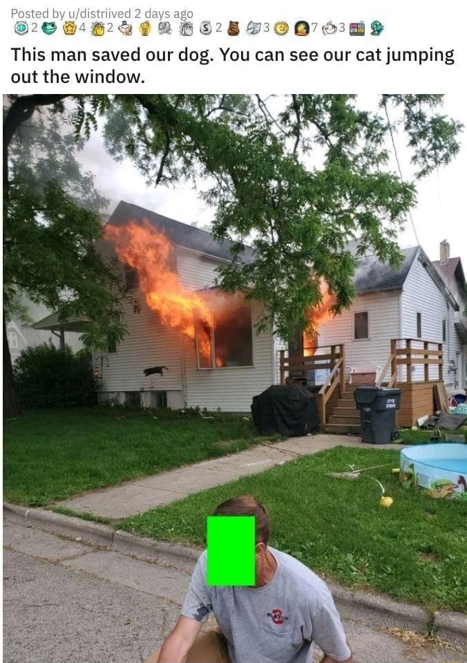 28 1L 0 This man saved our dog You can see our cat jumping out the window