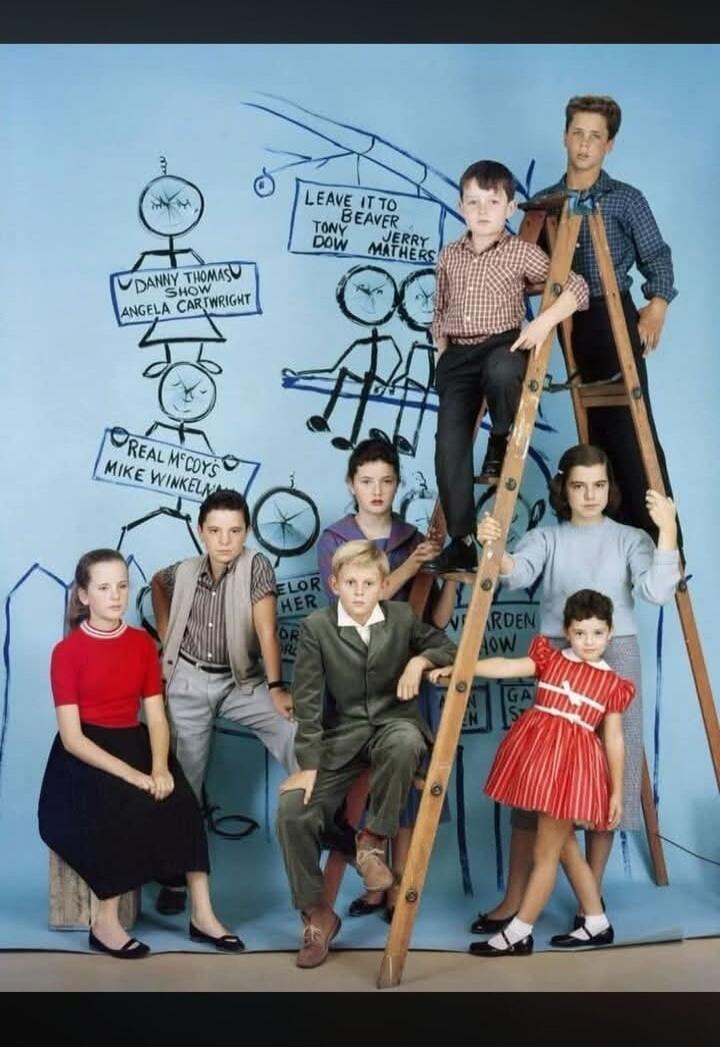 LEAVE IT TO BEAVER TONY DOW JERRY MATHERS DANNY THOMAS SHOW ANGELA CARTWRIGHT REAL MCCOY'S MIKE WINKELMAN