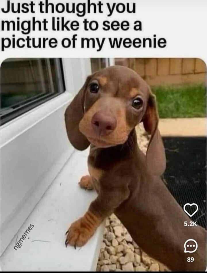 Just thought you might like to see a picture of my weenie