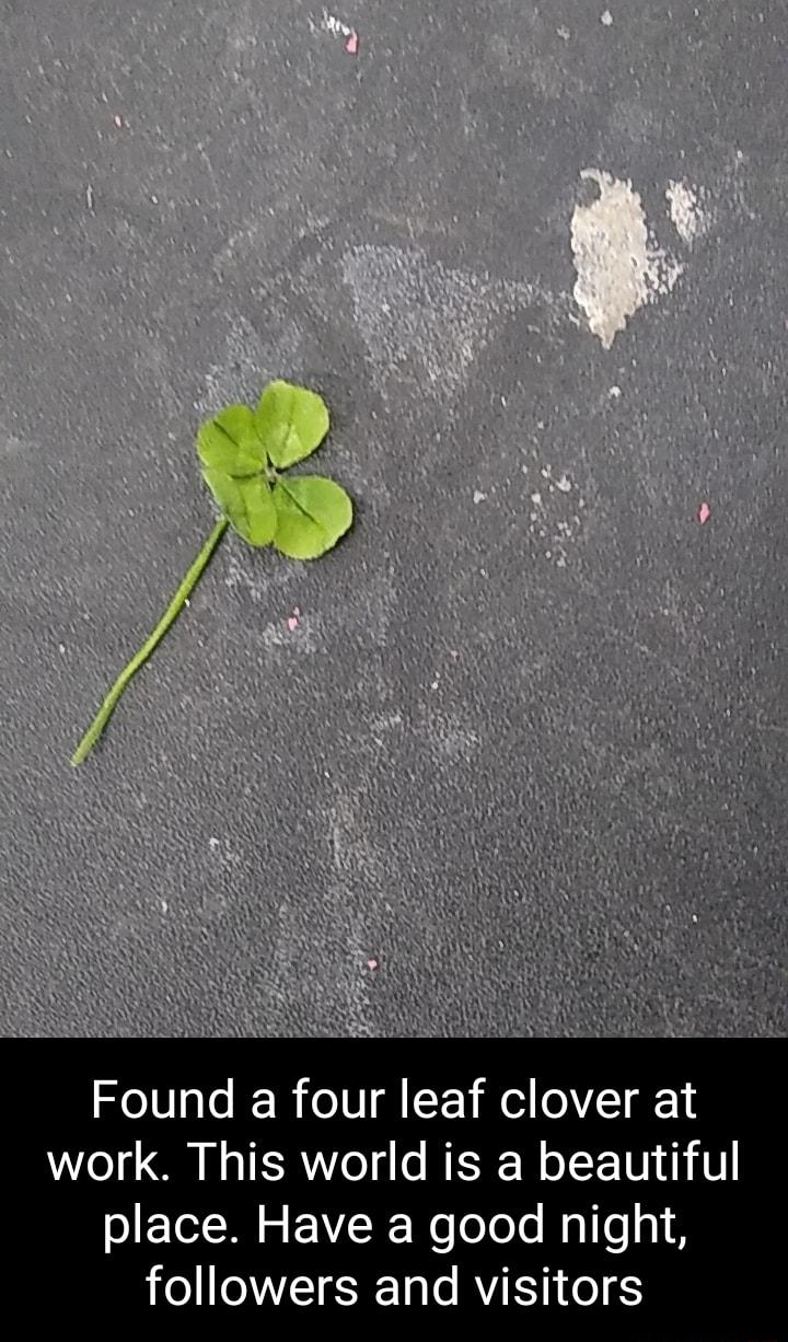 Found a four leaf clover at work This world is a beautiful o Tl W s F YRWeloTeTs Mglfe 1 followers and visitors