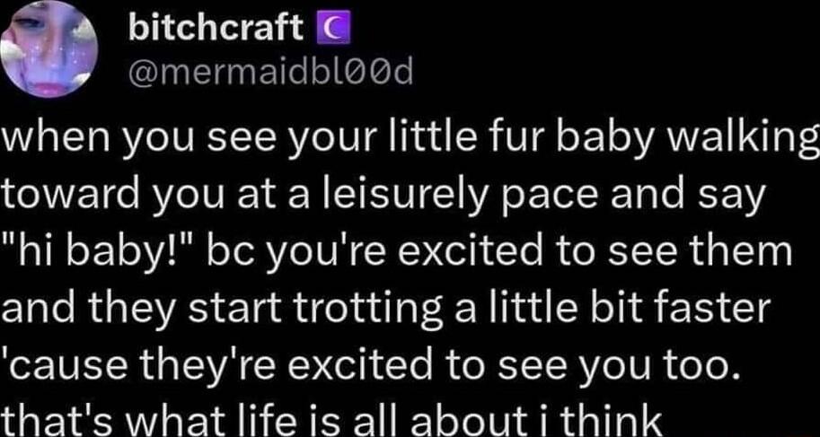 e mermaidblod when you see your little fur baby walking toward you at a leisurely pace and say hi baby bc youre excited to see them and they start trotting a little bit faster cause theyre excited to see you too thats what life is all about i think