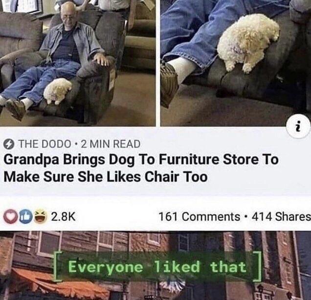 THE DODO 2 MIN READ Grandpa Brings Dog To Furniture Store To Make Sure She Likes Chair Too QJ 28K 161 Comments 414 Shares 1 Everyone Tiked that 1 M