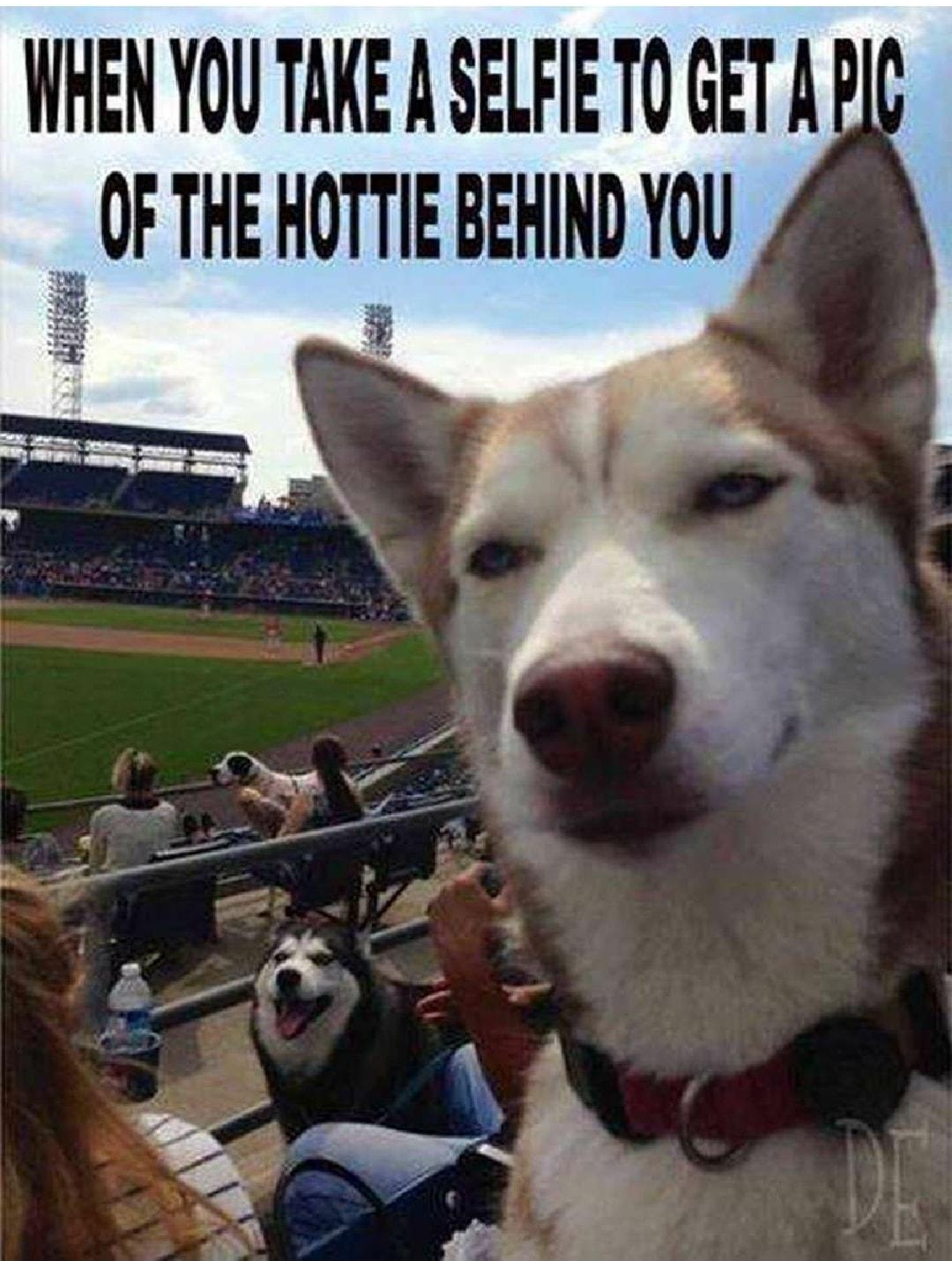 WHEN YOU TAKE A SELFIE TO GET A OF THE HOTTIE BEHIND YOU