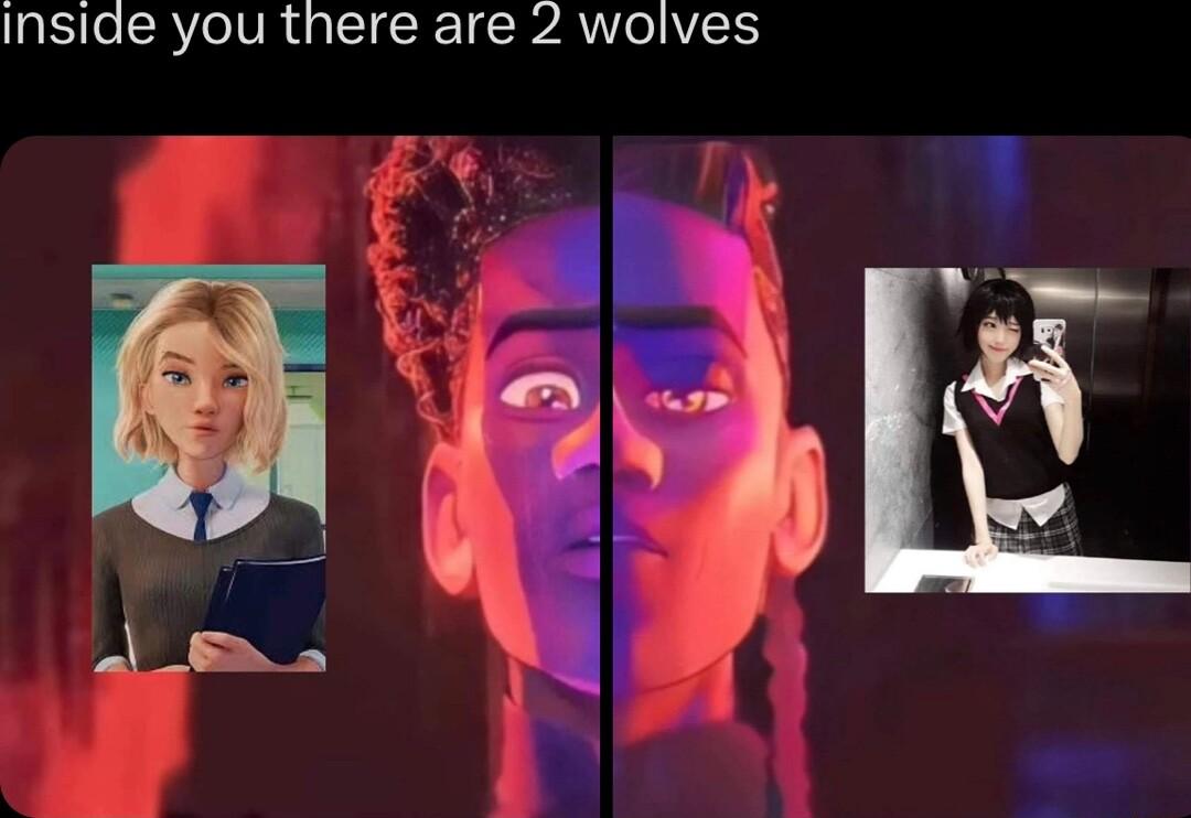 Inside you there are 2 wolves