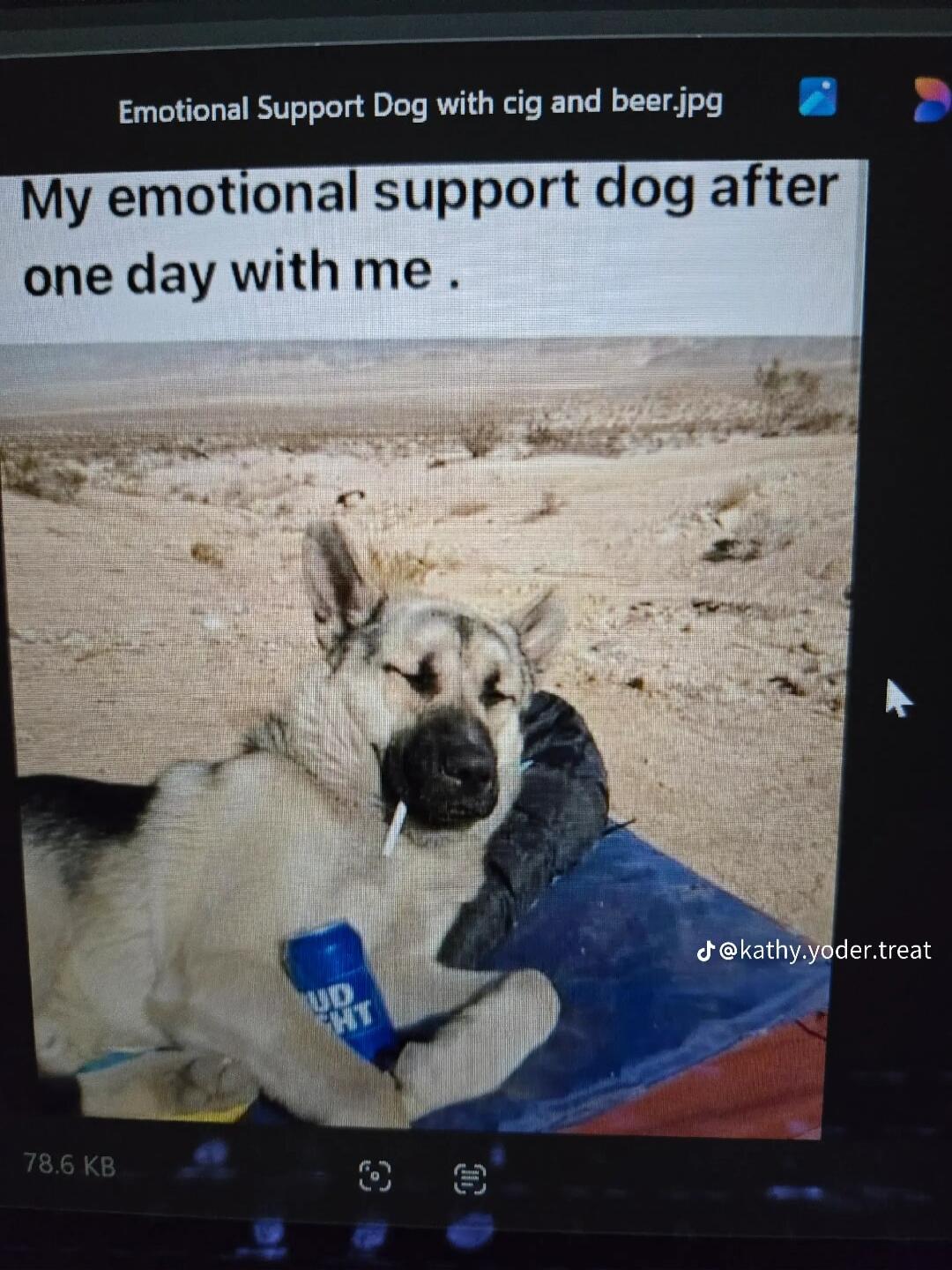 My emotional support dog after one day with me. Emotional Support Dog with cig and beer.