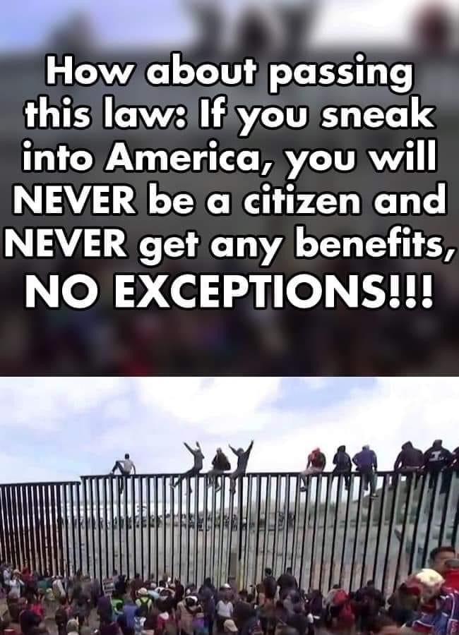 ait b How about passing this law If you sneak intfo America you will NEVER be a citizen and O 1A T A T AL YT 3 1 38 ol e de H 1