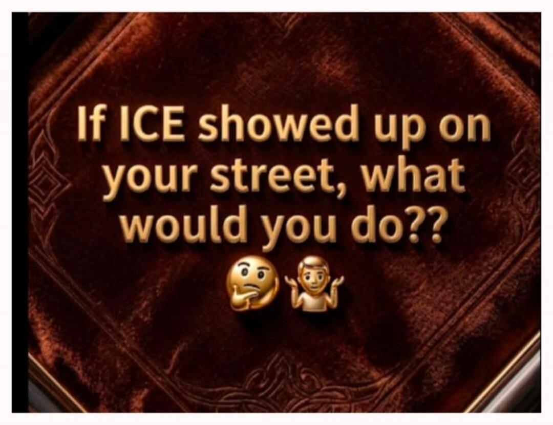 If ICE showed up on your street, what would you do??