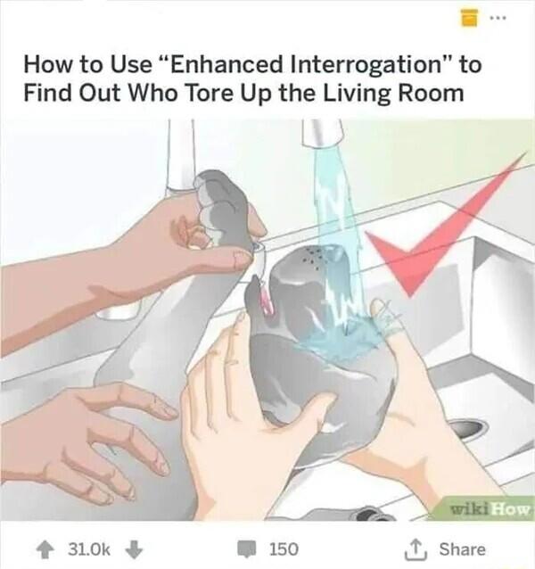 How to Use Enhanced Interrogation to Find Out Who Tore Up the Living Room