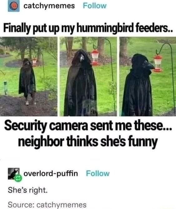 i catchymemes Follow Finally put up m_hummingird neighbor thinks shes funny Eoverlard pufn Follow Shes right Source catchymemes