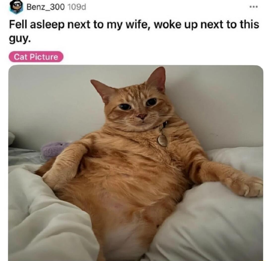 Benz_300 109d Fell asleep next to my wife woke up next to this guy