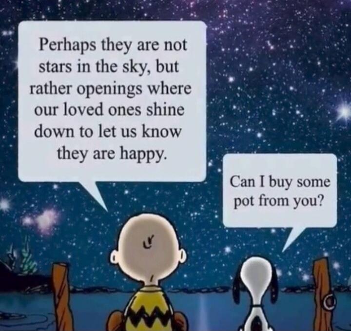 Perhaps they are not stars in the sky, but rather openings where our loved ones shine down to let us know they are happy.
Can I buy some pot from you?