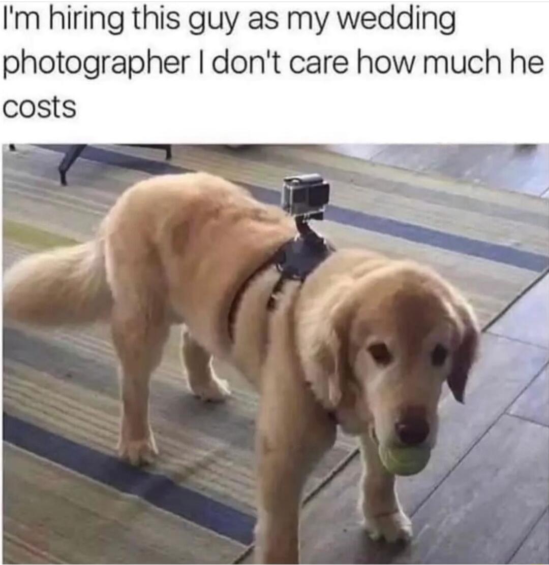Im hiring this guy as my wedding photographer dont care how much he costs