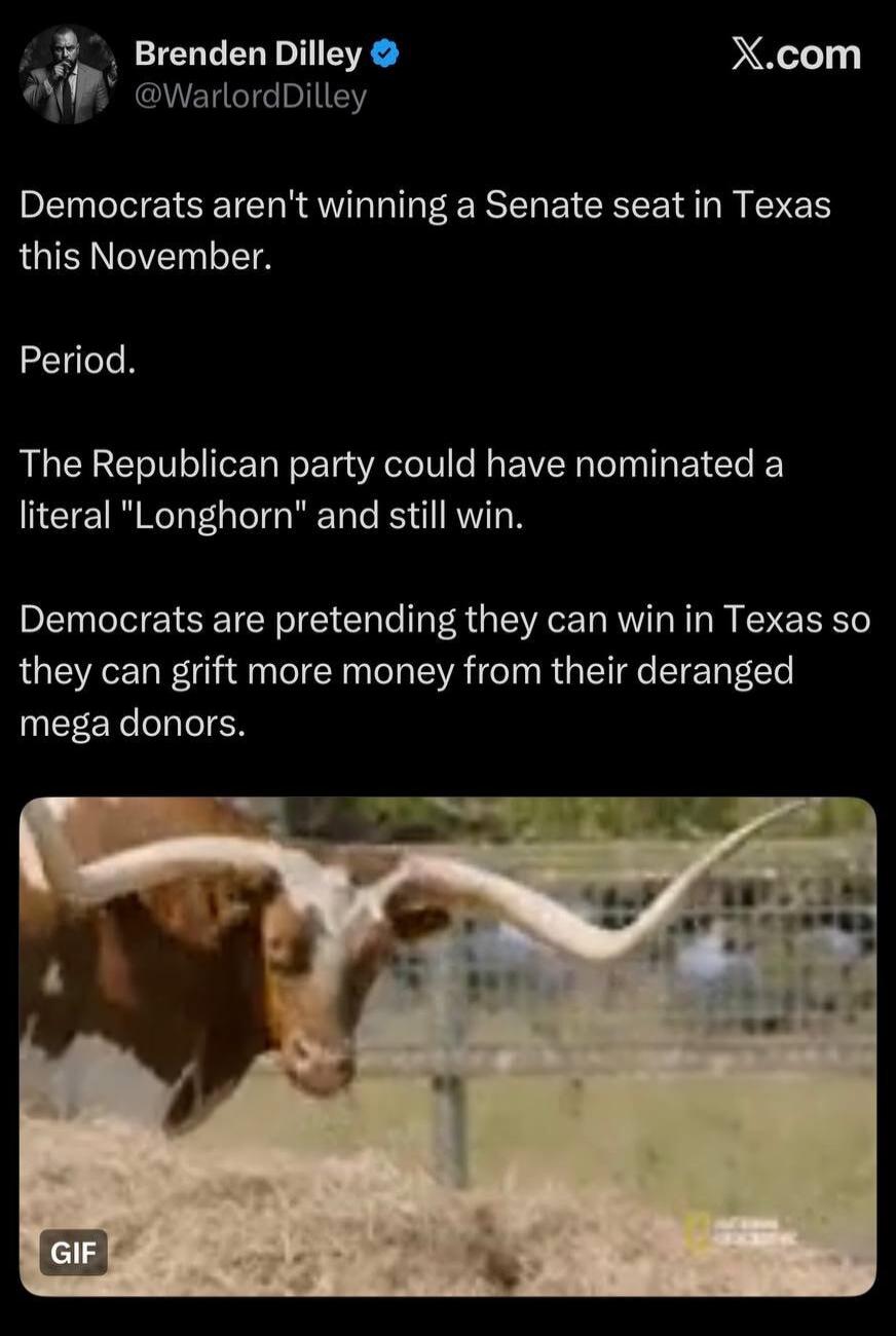 Brenden Dilley @WarlordDilley X.com Democrats aren't winning a Senate seat in Texas this November. Period. The Republican party could have nominated a literal 