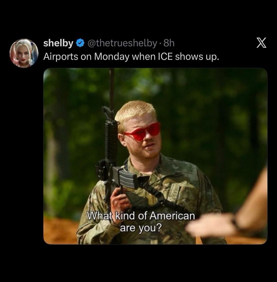 Airports on Monday when ICE shows up. What kind of American are you?