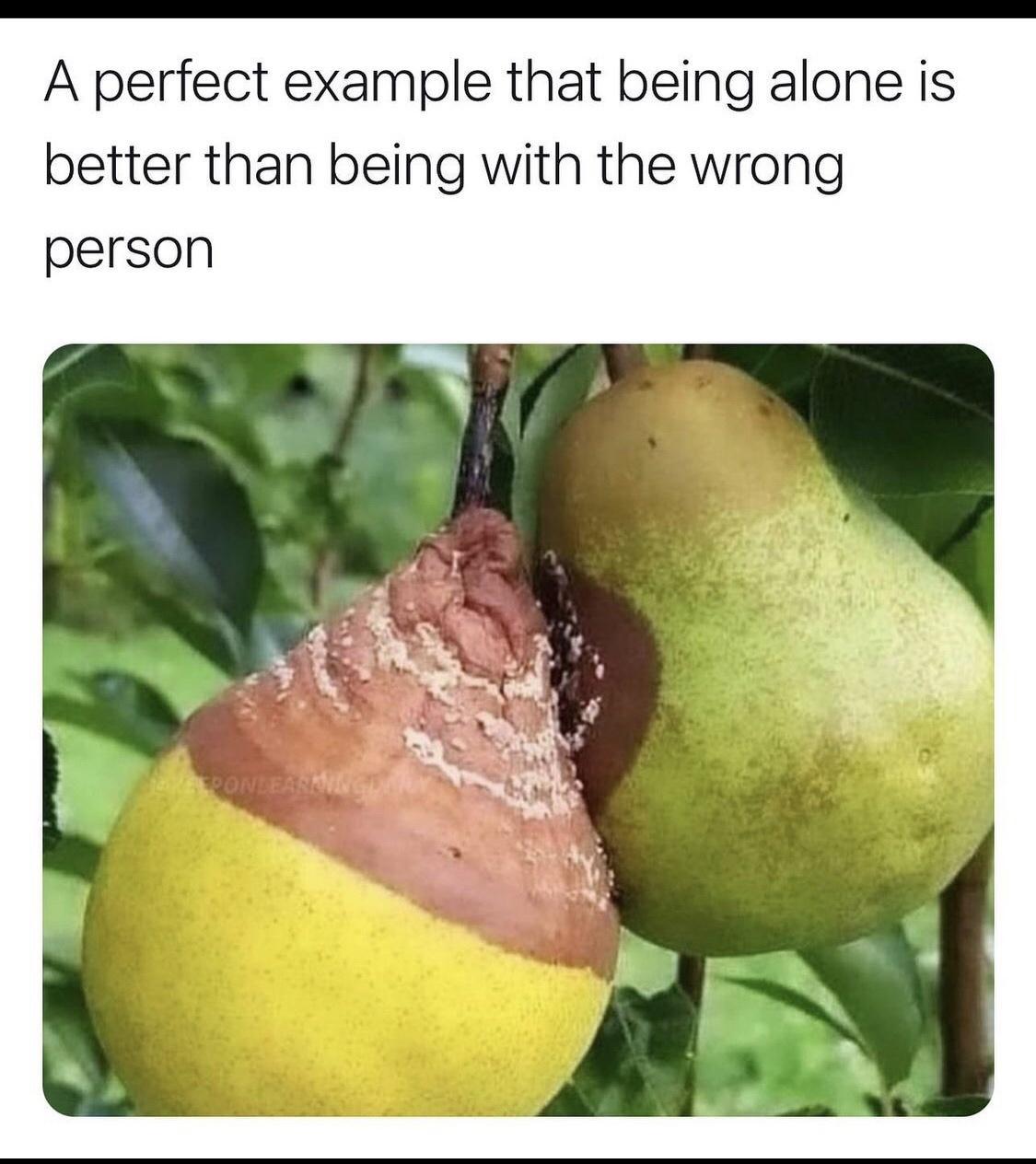 A perfect example that being alone is better than being with the wrong person